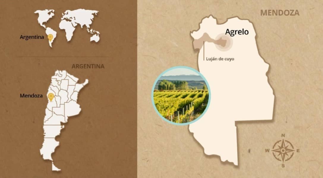 Foto-3-LocalisacionBodegaCreacion_recortada