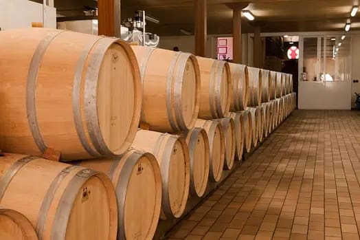 chateau-du-moulin-rouge-108-Grande