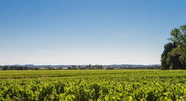 chateau-du-moulin-rouge-26-bis-Grande