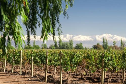 btn_creacion-_Pequeño_-_Personalizado_